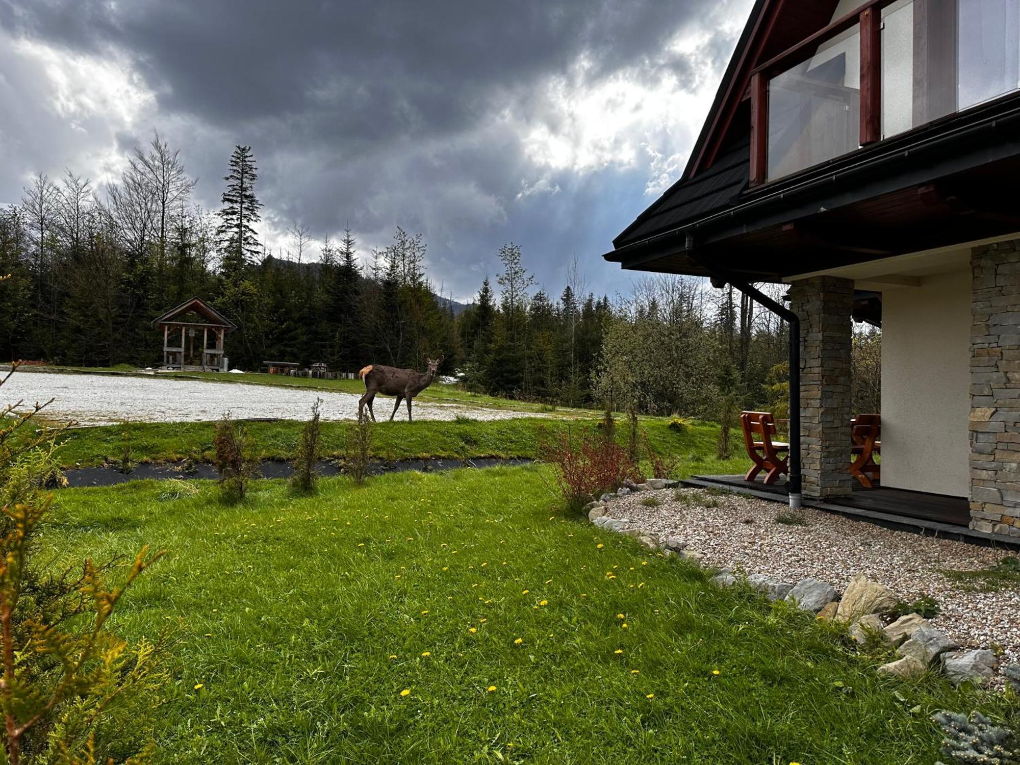 Apartamenty Willa Nika Zakopane Exterior foto